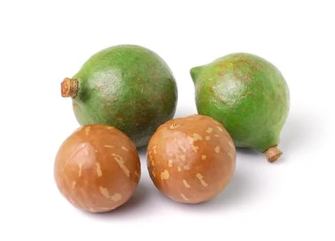 Macadamia nuts on white background Stock Photos