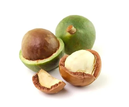 Macadamia nuts on white background Stock Photos