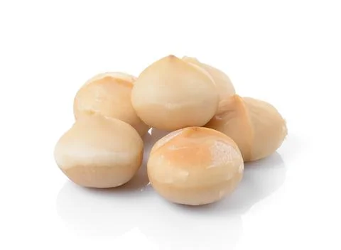 Macadamia nuts on white background Stock Photos