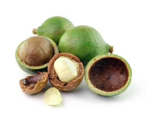 Macadamia nuts on white background Stock Photos