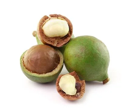 Macadamia nuts on white background Stock Photos