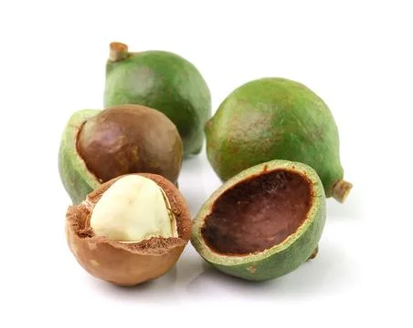 Macadamia nuts on white background Stock Photos