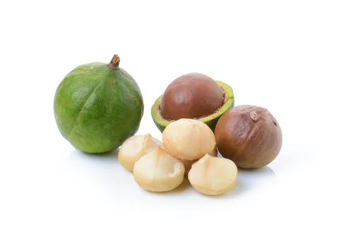 Macadamia nuts on white background Stock Photos