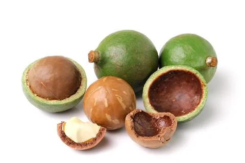 Macadamia nuts on white background Stock Photos