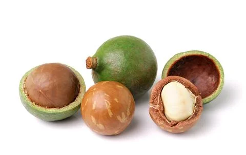 Macadamia nuts on white background Stock Photos