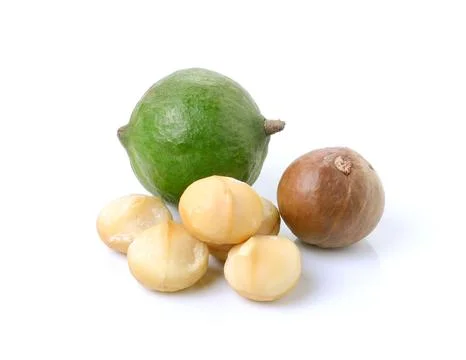 Macadamia nuts on white background Stock Photos