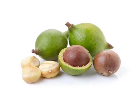 Macadamia nuts on white background Stock Photos