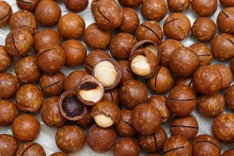 Macadamia nuts on white background. Top view. Stock Photos