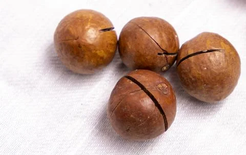 Macadamia nuts  on white cloth Stock Photos