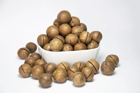 Macadamia nuts in white cup on white background Stock Photos