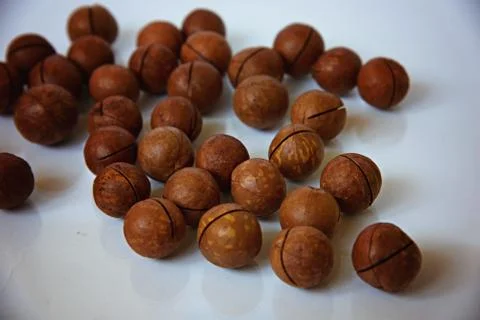 Macadamia nuts on a white surface Stock-Fotos