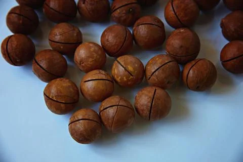 Macadamia nuts on a white surface Stock Photos
