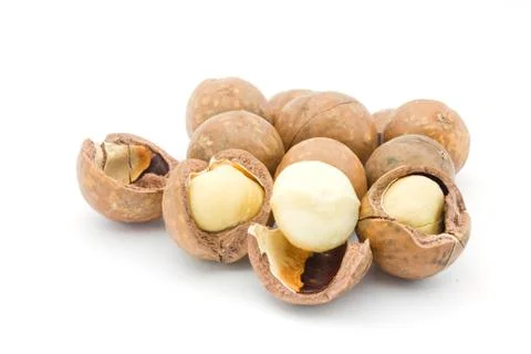 Macadamia Stock Photos