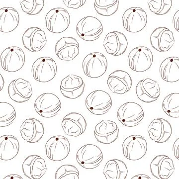 Macadamia seamless pattern in line art style. Nuts design for package, merch Stock Illustration