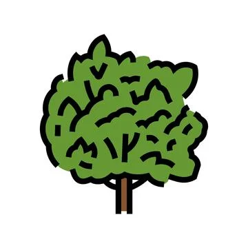 Macadamia tree jungle amazon color icon vector illustration Stock Illustration