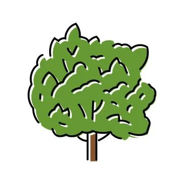 Macadamia tree jungle amazon color icon vector illustration Stock Illustration
