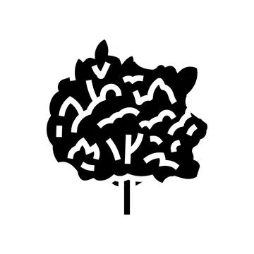 Macadamia tree jungle amazon glyph icon vector illustration Stock Illustration