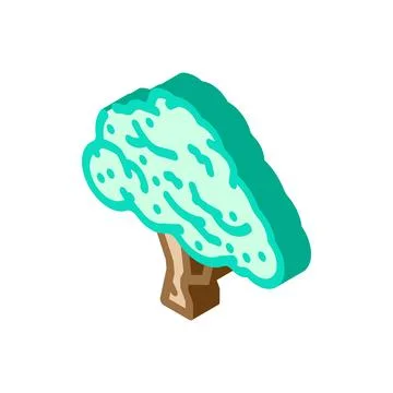 Macadamia tree jungle amazon isometric icon vector illustration Stock Illustration