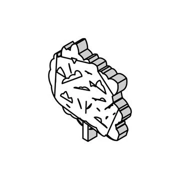 Macadamia tree jungle amazon isometric icon vector illustration Stock Illustration