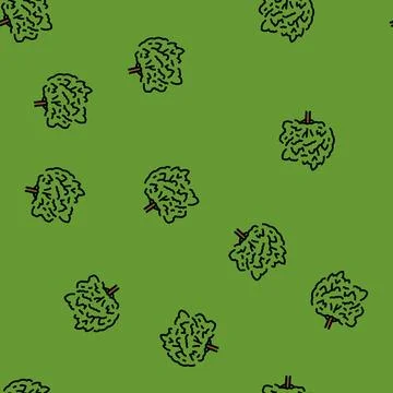 Macadamia tree jungle amazon vector seamless pattern Stock Illustration