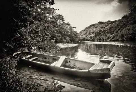 On the macal river Stock Photos