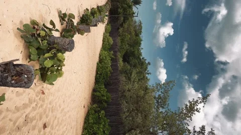 Macao beach line sandy Caribbean. Dominican Republic. Vertical footage Stock Footage 243213140