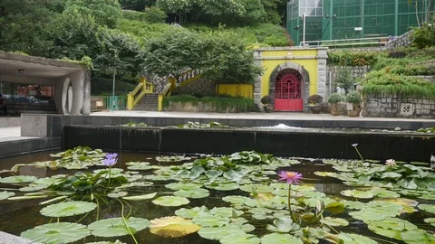 Macao Beautiful Garden Video stock 88634704