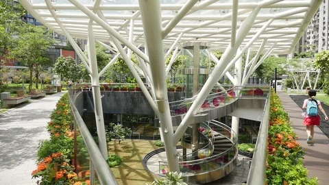 Macao Beautiful Garden Video stock 88635498