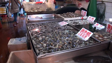 Macao. Clam in the Red market in Macau Vidéo 44154339
