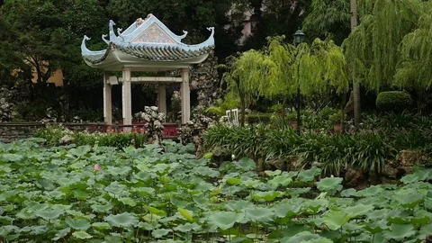 Macao Garden Video stock 88633081