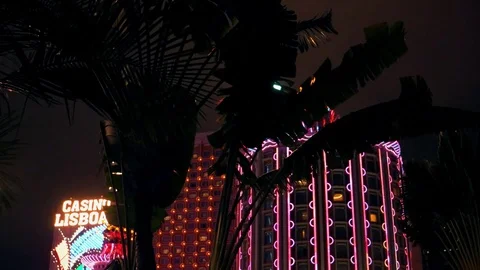 Macao - Palm tree silhouettes in front of Casino Lisboa glowing at night. Stock Footage 70831031