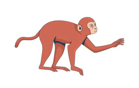 Macaque monkey extending one arm forward 2D cartoon character Illustrazione stock