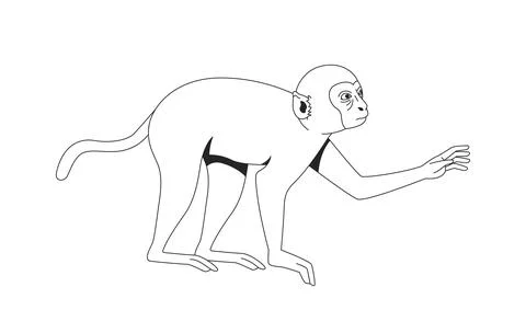 Macaque monkey extending one arm forward line art character Illustrazione stock