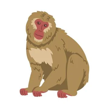 Macaque Monkey as Herbivorous Ape in Sitting Pose Vector Illustration Stock Illustration