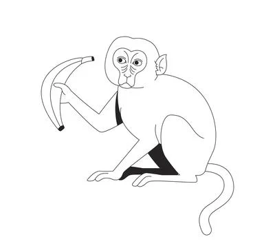 Macaque monkey holding banana while seated line art character Illustrazione stock