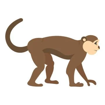 Macaque monkey icon isolated Stock Illustration