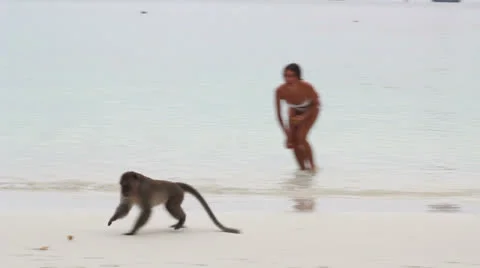 Macaque monkey plays with girl at the beach 스톡 동영상 22795044