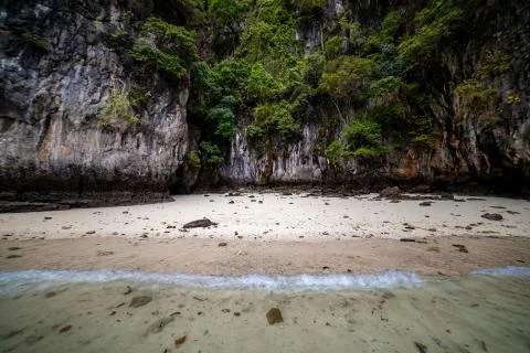 Macaque monkeys at Monkey beach in Phi Phi Islands, Thailand. Stock Photos
