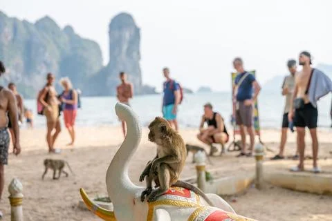 Macaque rests on decorative elephant statue at beach Stock Photos