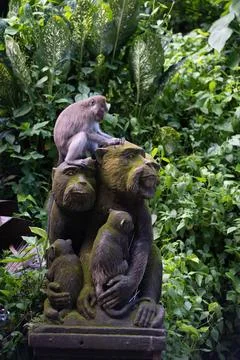 Macaque Sitting on Monkey Sculpture in Ubud Stock Photos