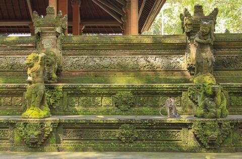 Macaque on the temple steps at Ubud Monkey Forest Stock Photos
