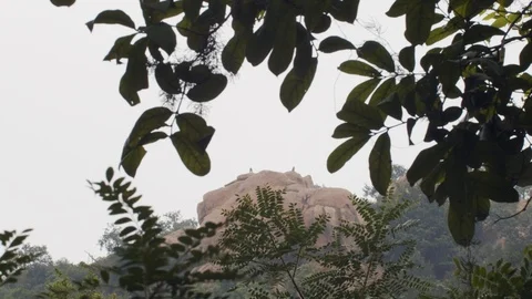 Macaques silhouettes jumping over rocky peaks in green leaves frame  Stock Footage 125103196