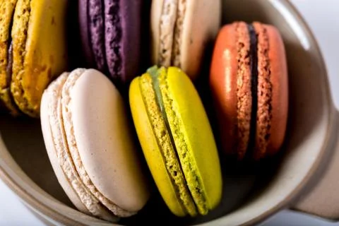 Macaron or gerber Stock Photos