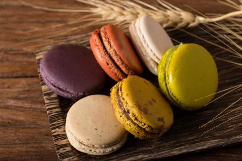 Macaron or gerber Stock Photos