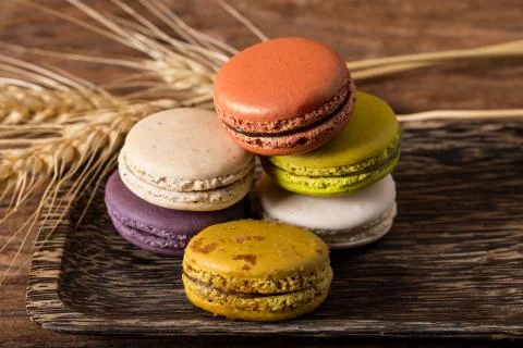 Macaron or gerber Stock Photos