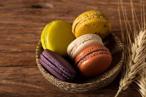 Macaron or gerber Foto stock