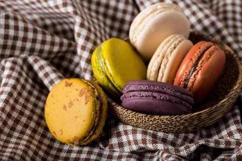 Macaron or gerber Stock Photos