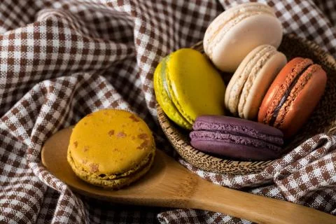 Macaron or gerber Stock Photos