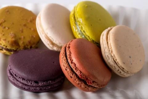 Macaron or gerber Stock Photos