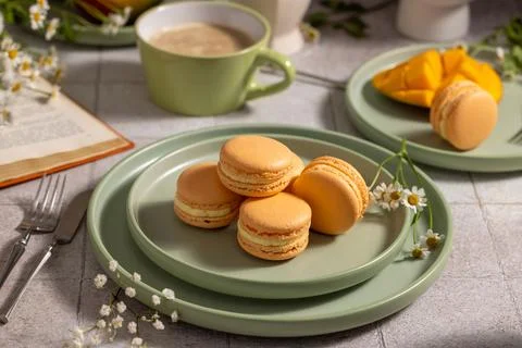Macaron sweet dessert stack on a green plate 写真素材